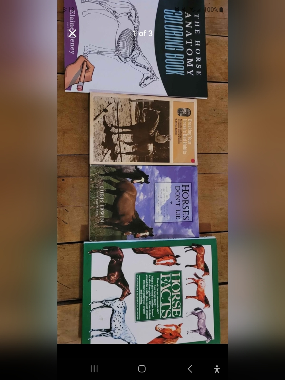 Horsey Book Bundle